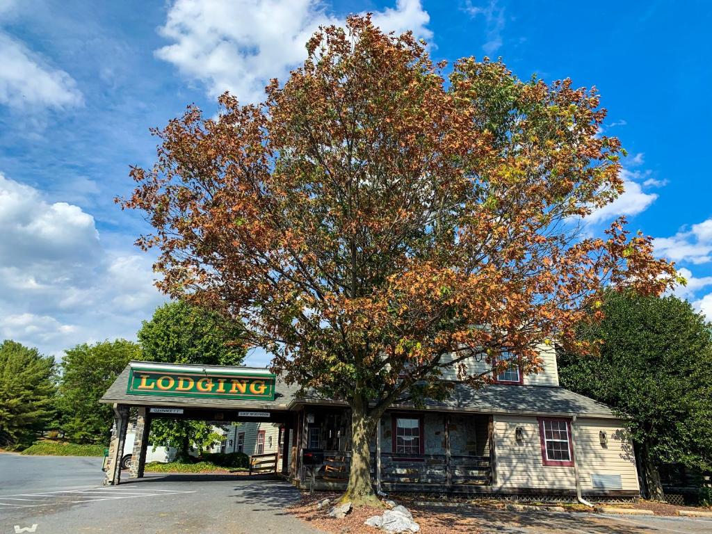 The Country Inn of Lancaster Main image 1